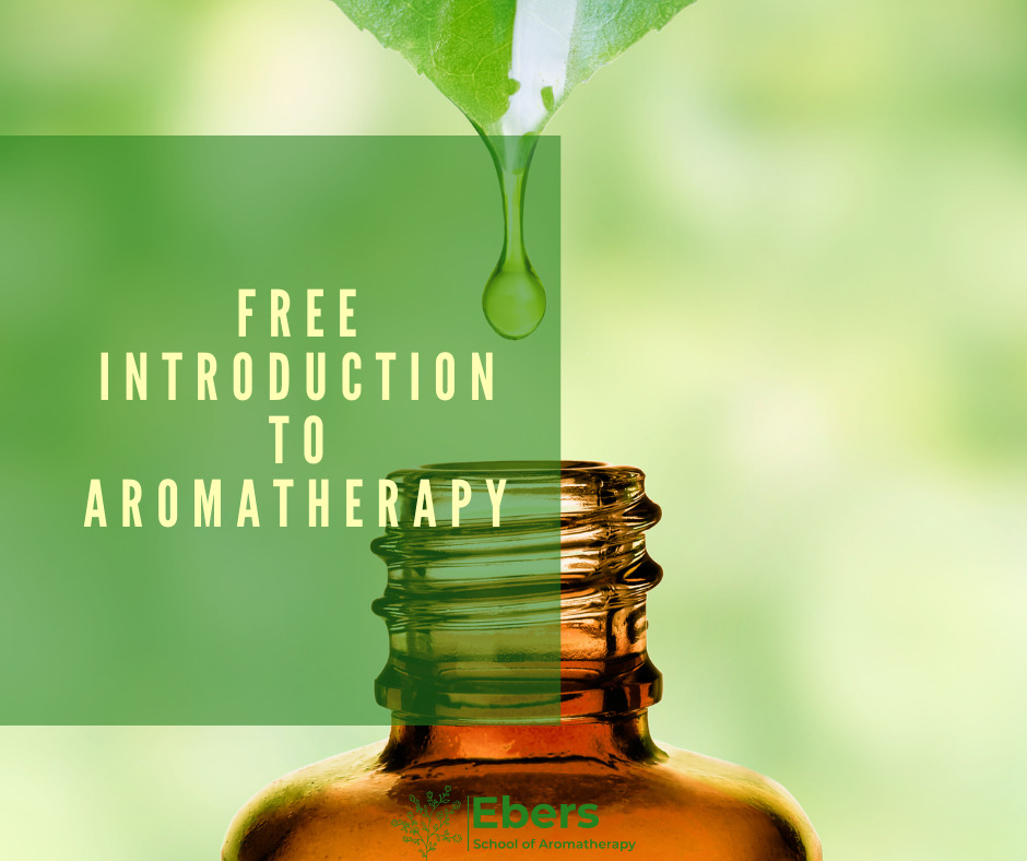 Free Introduction to Aromatherapy